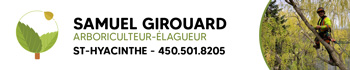 elagueur