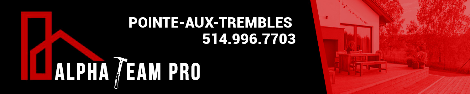 ALPHA TEAM PRO Entrepreneur Général