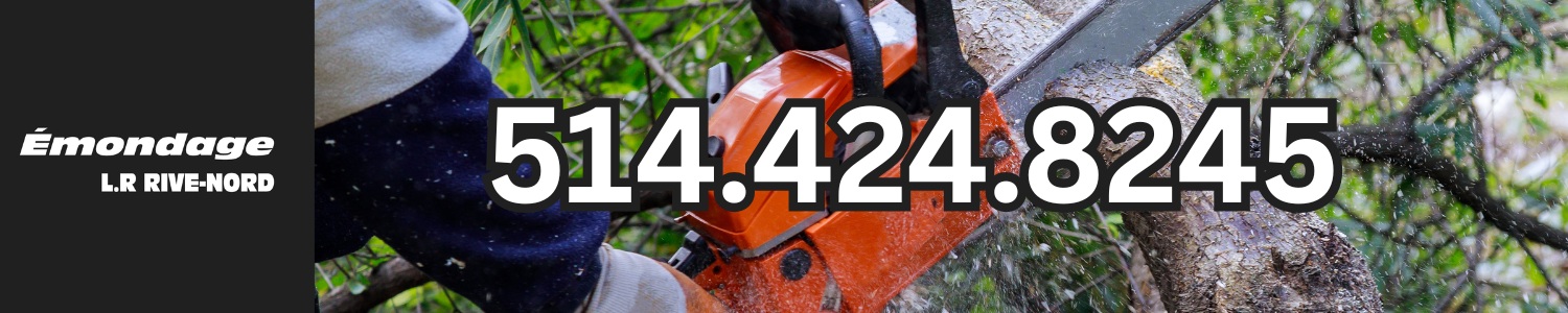 Émondage L.R Rive Nord : Votre choix de confiance pour des services d’arboriculture de qualité