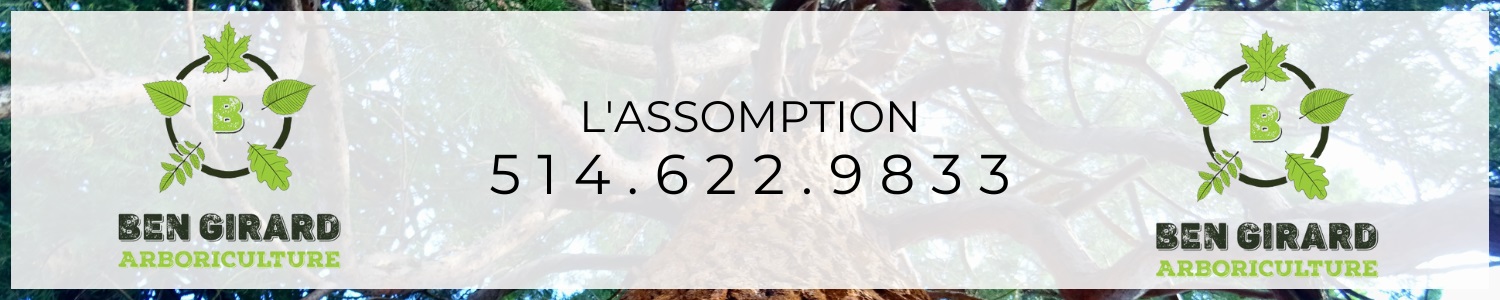 Ben Girard Arboriculture - Élagage l'Assomption