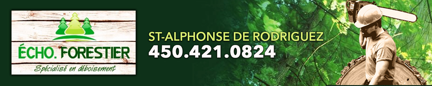 Écho Forestier - Élagage, Abattage d'Arbre, Nettoyage en Forêt Saint-Alphonse-Rodriguez