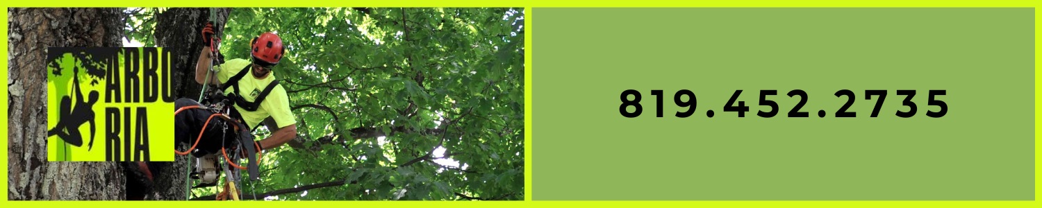 ARBORIA Inc. - Abattage, Élagage, Émondeur Sherbrooke