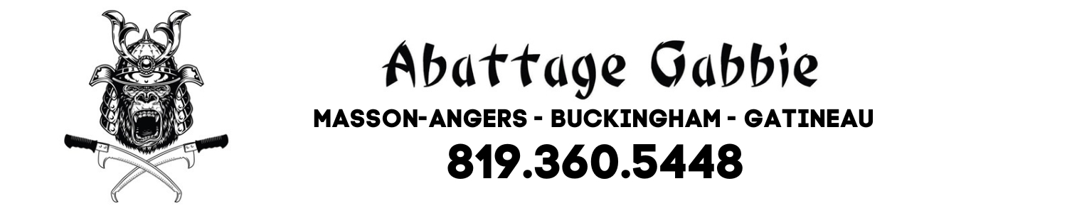 Abattage Gabbie - Élagage, Émondage et Taille de haies