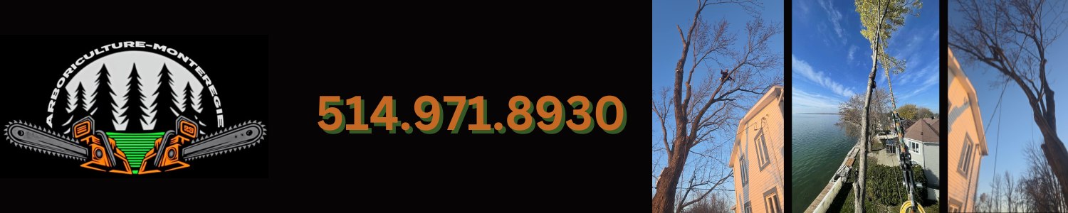 Arboriculture Montérégie - Arborist , Tree Removal