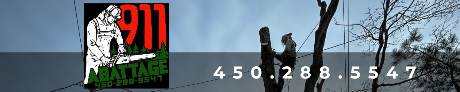 911 Abattage - Élagueur, Émondeur, Abattage d'arbres - Châteauguay