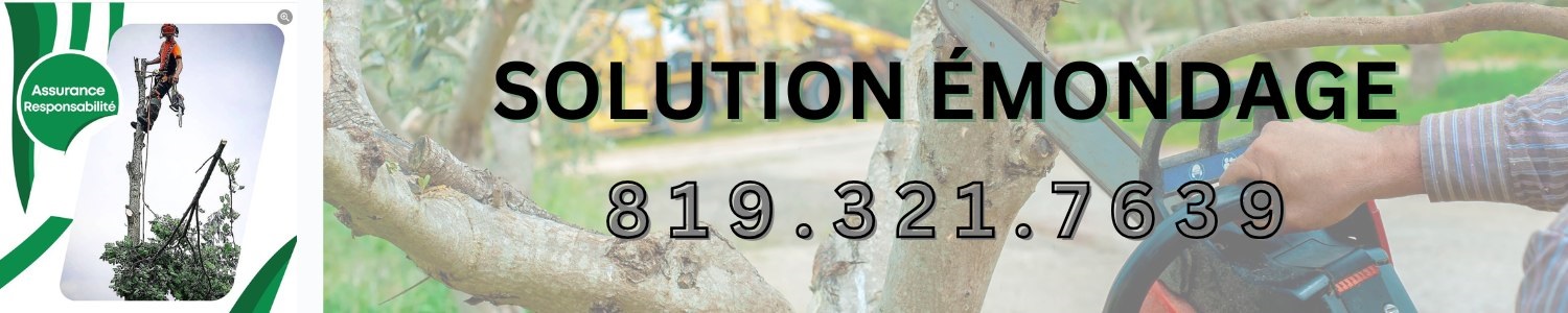 Solution Émondage - Élagueur