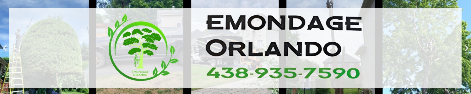 Émondage Orlando - Émondeur Beauharnois