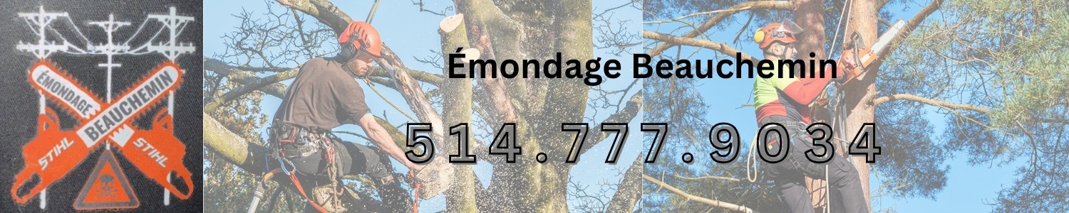 Émondage Beauchemin - Élagage, Abattage d'arbre