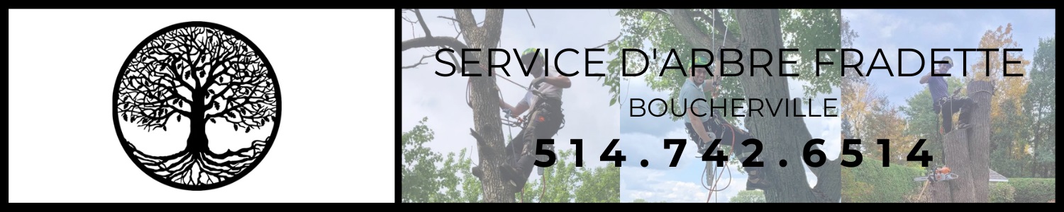 Service d'arbre Fradette - Élagueur, Émondage Boucherville