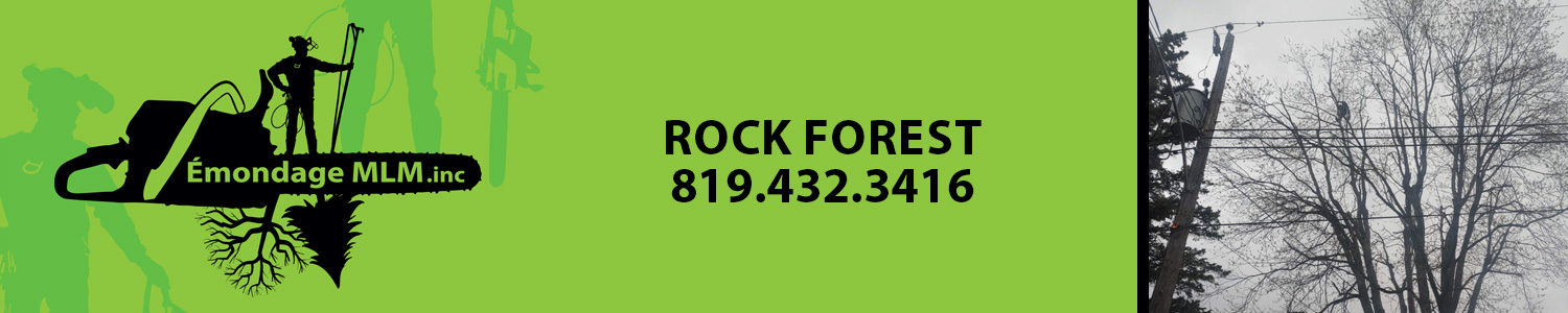 Émondage MLM - Service d'arbres d'urgence, Abattage 24h Rock Forest–Saint-Élie–Deauville