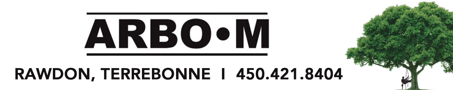 ARBO-M - Service d'arbres: Essouchage, Émondage et Abattage - Terrebonne