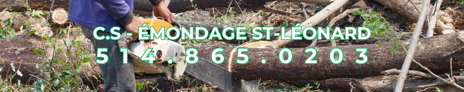 C.S - Émondage St-Léonard