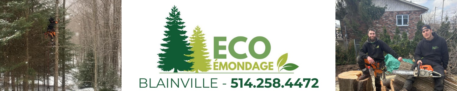 Eco-Émondage - Élagueur Blainville
