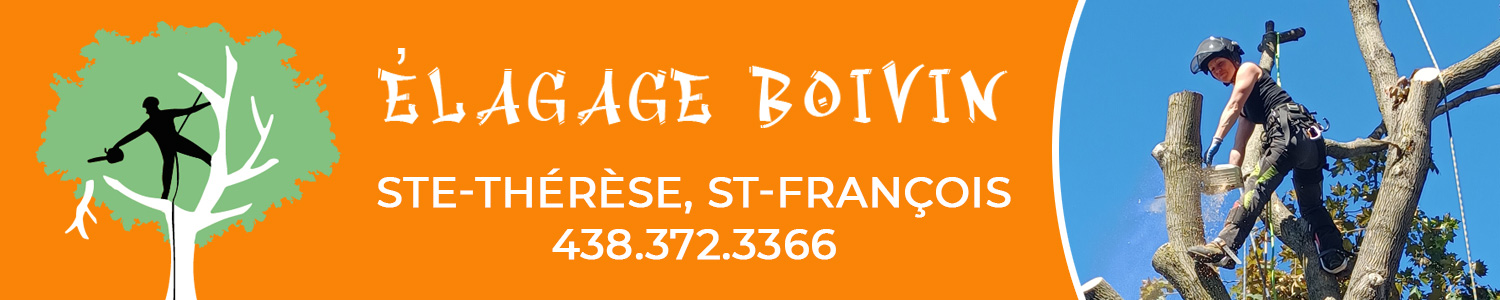 Élagage Boivin - Service d'arbres Saint-François