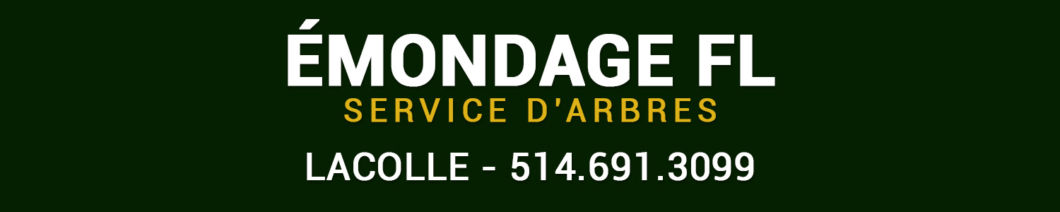 Émondage  FL, service d'Arbres