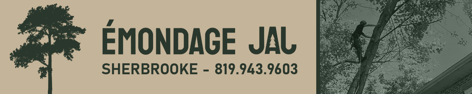 Émondage JAJ Inc. - Abattage, Élagage, Émondeur Sherbrooke