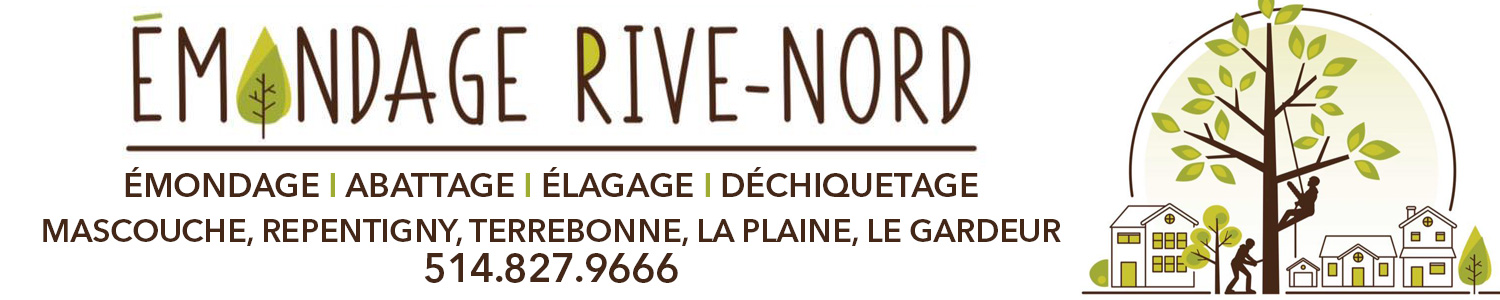 Abattage et Émondage Rive-Nord - Repentigny