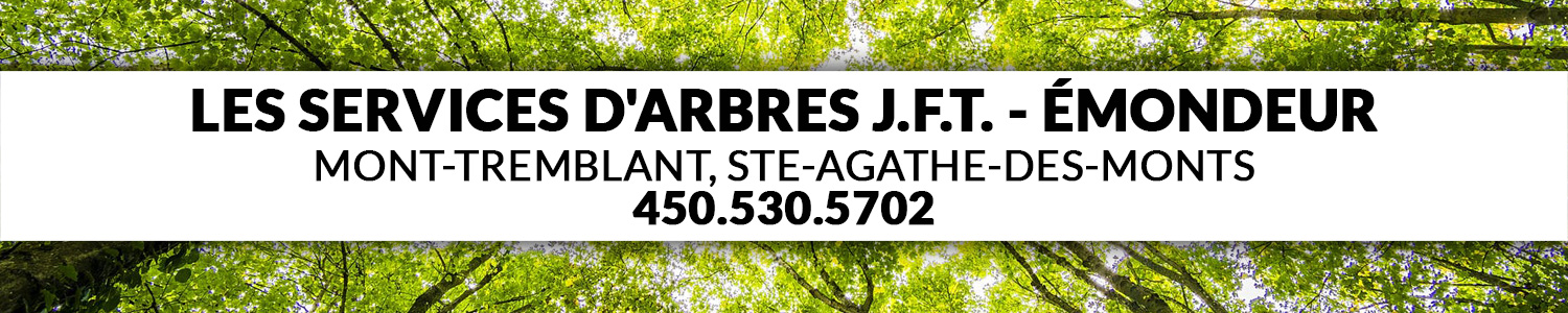 Les services d'arbres J.F.T. - Émondeur