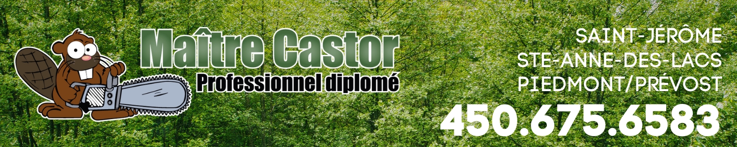 Maitre Castor -  Élagage, Abattage, Essouchage - Prévost