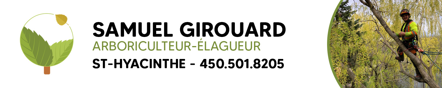 Samuel Girouard Arboriculteur - Élagueur, Abattage d'arbres