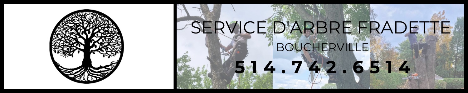 Service d'arbre Fradette - Élagueur Boucherville