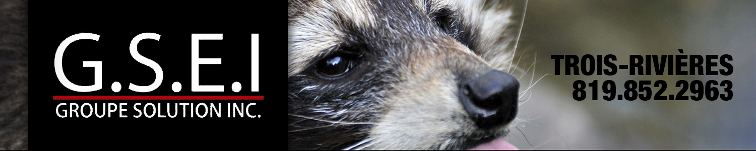 Exterminateur G.S.E. I. Groupe solution inc. - Extermination Trois-Rivières