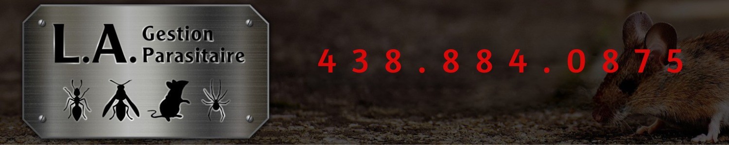 Exterminateur L.A. Gestion Parasitaire - Rawdon, Ste-Julienne
