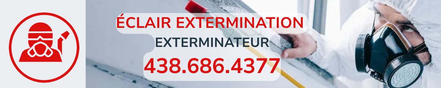 Éclair Extermination	- Exterminateur Fabreville