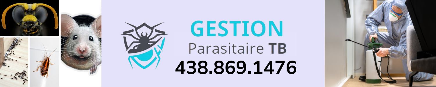 Gestion Parasitaire T.B
