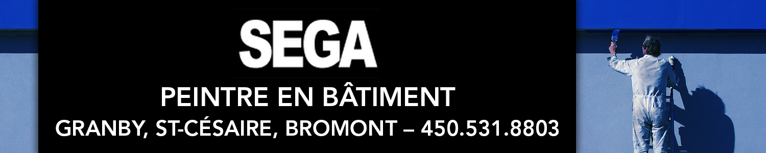 Peinture Sega - Peintre en batiment